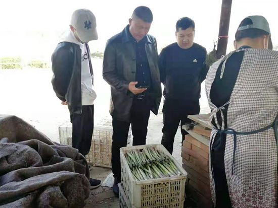 來自河南、山東、新疆的客人在種植園考察