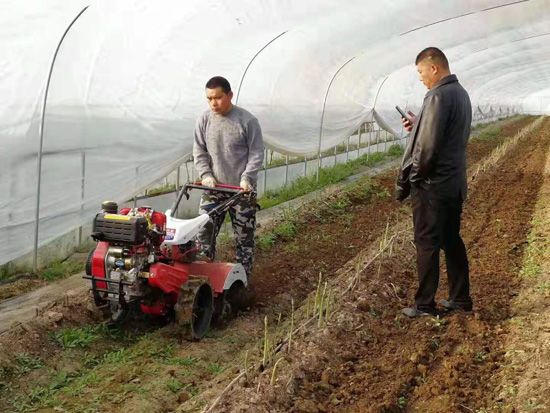 來自河南、山東、新疆的客人在種植園考察