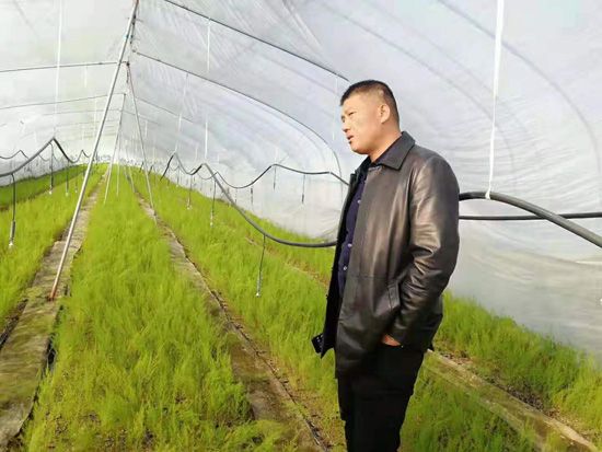來自河南、山東、新疆的客人在種植園考察