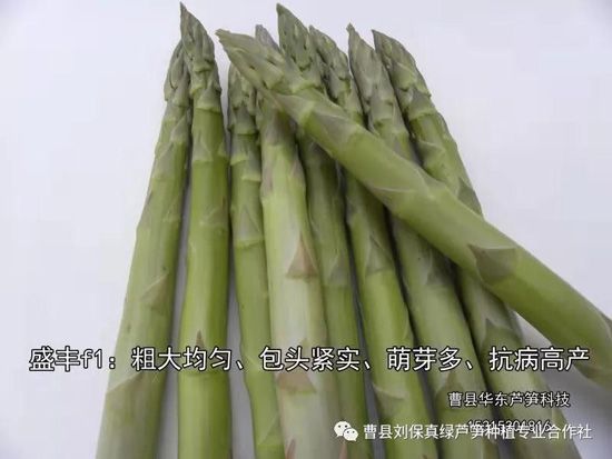 春天，常食蘆筍很保健