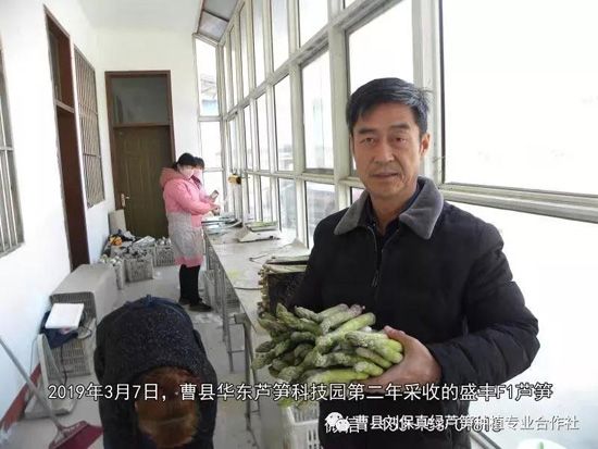 春天，常食蘆筍很保健