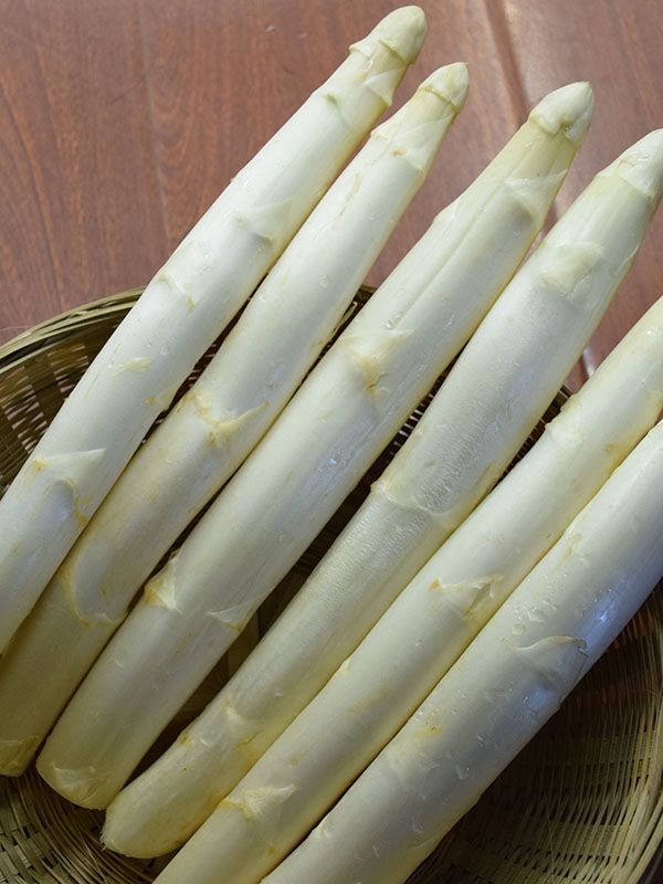 蘆筍在家如何種植？有什么方法