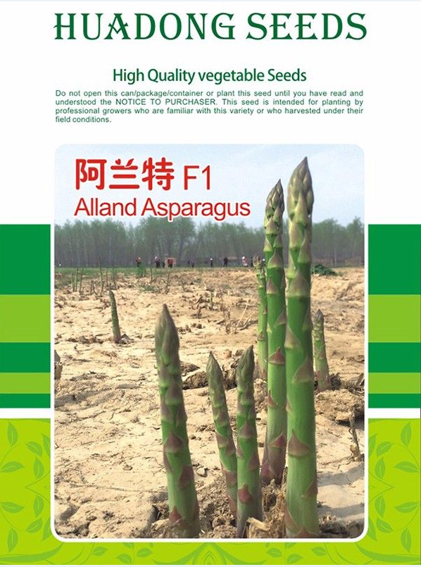 家庭種植蘆筍的詳細方法